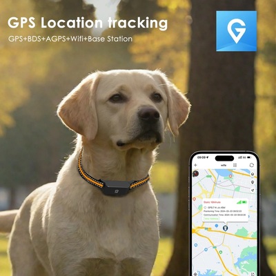 Smart 4G GPS Pet Collar Tracker - Rechargeable Dog & Cat Locator